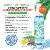 Очищающий спрей для игрушек CLEAR TOY Tropic - 100 мл. - Биоритм - купить с доставкой в Невинномысске