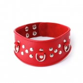 Кожаный красный ошейник с велюровой подкладкой - Sitabella - купить с доставкой в Невинномысске
