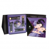 Подарочный набор Geishas secret из 5 предметов - Shunga - купить с доставкой в Невинномысске