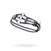 Черный кожаный пояс с кольцами - Pecado - купить с доставкой в Невинномысске