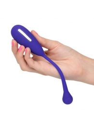 Фиолетовый шарик с электростимуляцией и вибрацией Intimate E-Stimulator Remote Kegel Exerciser - California Exotic Novelties - купить с доставкой в Невинномысске