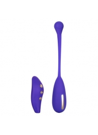 Фиолетовый шарик с электростимуляцией и вибрацией Intimate E-Stimulator Remote Kegel Exerciser - California Exotic Novelties - купить с доставкой в Невинномысске