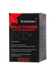 Капсулы для мужчин Erotichard male power с пантогематогеном - 20 капсул (0,370 гр.) - Erotic Hard - купить с доставкой в Невинномысске