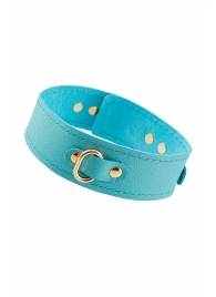 Голубой кожаный однослойный ошейник с прошивкой - Pecado - купить с доставкой в Невинномысске