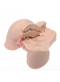 Мастурбатор-полуторс Naked Factory Kate - Naked Factory - в Невинномысске купить с доставкой