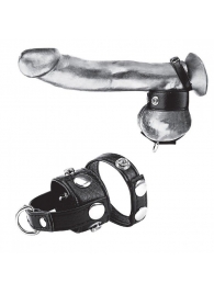 Утяжка для мошонки и пениса Cock Ring With 1  Ball Stretcher And Optional Weight Ring - BlueLine - купить с доставкой в Невинномысске