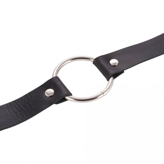 Черный поводок и чокер с кольцом Rada - Rebelts - купить с доставкой в Невинномысске