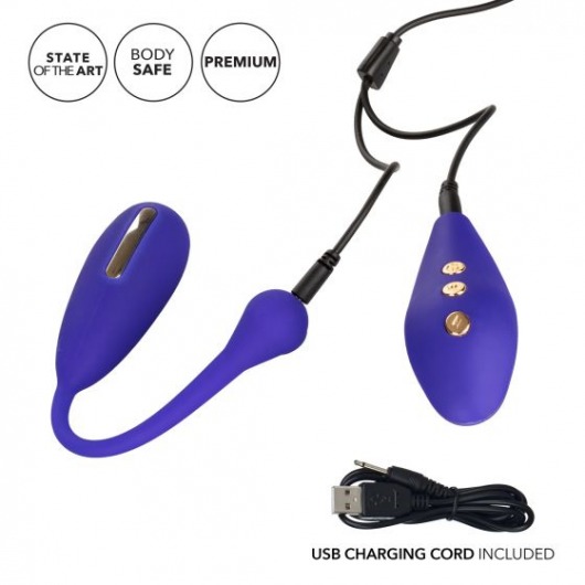 Фиолетовый шарик с электростимуляцией и вибрацией Intimate E-Stimulator Remote Kegel Exerciser - California Exotic Novelties - купить с доставкой в Невинномысске