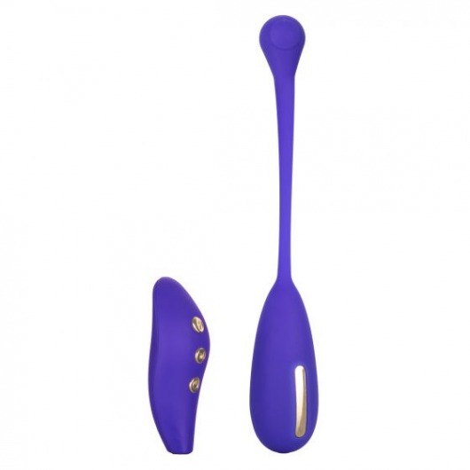 Фиолетовый шарик с электростимуляцией и вибрацией Intimate E-Stimulator Remote Kegel Exerciser - California Exotic Novelties - купить с доставкой в Невинномысске