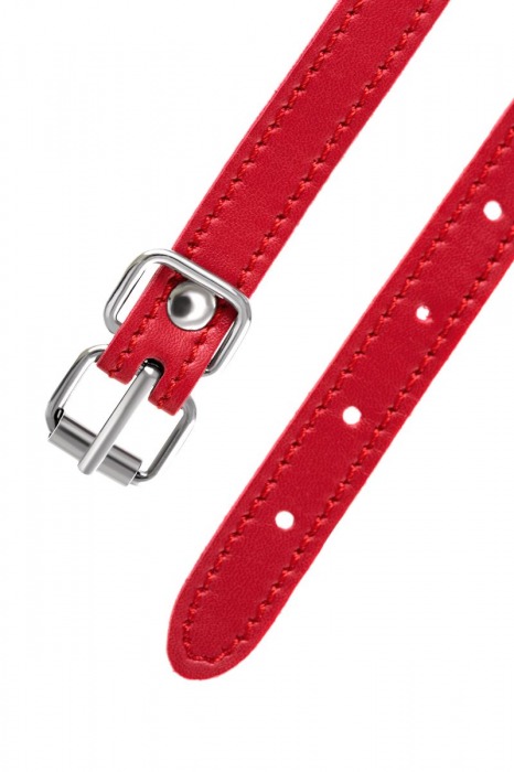 Красная маска Anonymo из искусственной кожи - ToyFa - купить с доставкой в Невинномысске