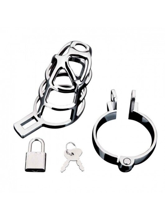 Серебристая металлическая клетка для члена с замком Enslave Cock Cage - BlueLine - купить с доставкой в Невинномысске