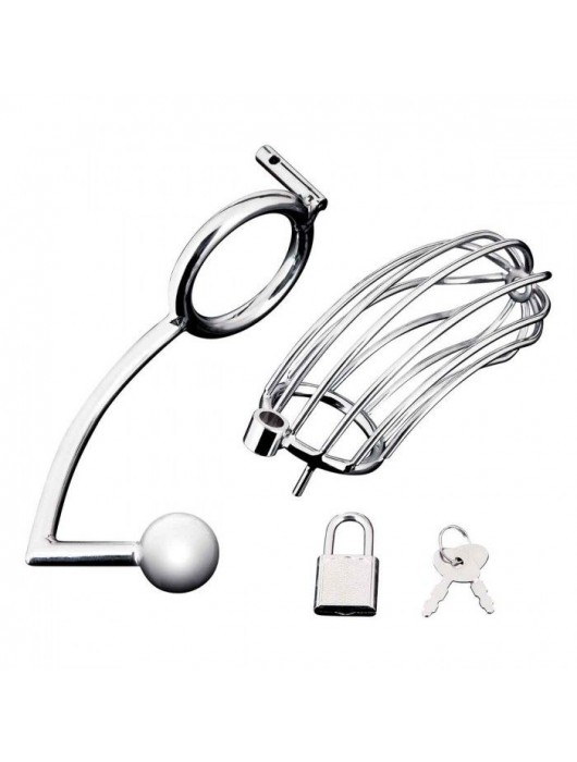 Серебристая металлическая клетка с анальным стимулятором Cock Cage - BlueLine - купить с доставкой в Невинномысске