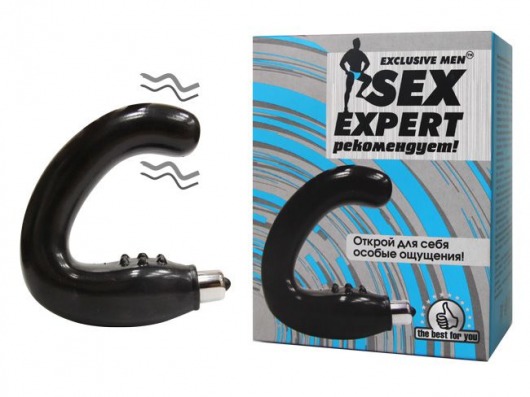 Чёрный массажёр простаты серии Sex Expert - Sex Expert - в Невинномысске купить с доставкой