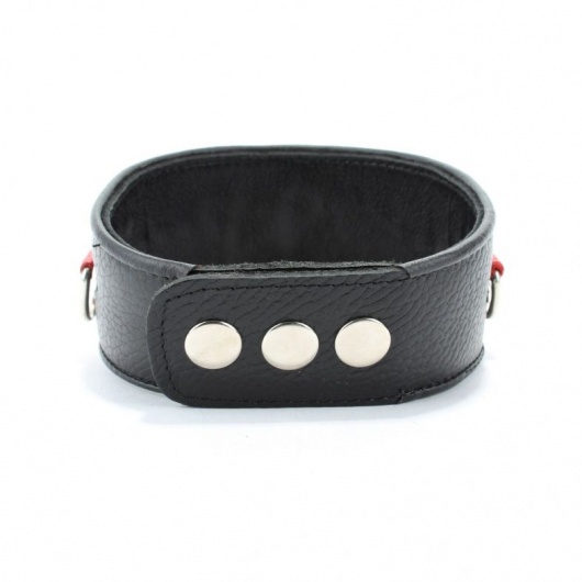 Кожаный ошейник с металлическими клепками - БДСМ Арсенал - купить с доставкой в Невинномысске