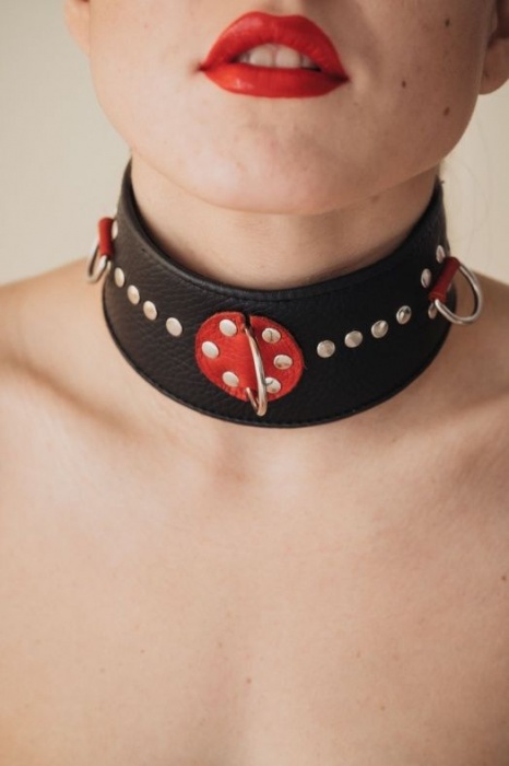 Кожаный ошейник с металлическими клепками - БДСМ Арсенал - купить с доставкой в Невинномысске