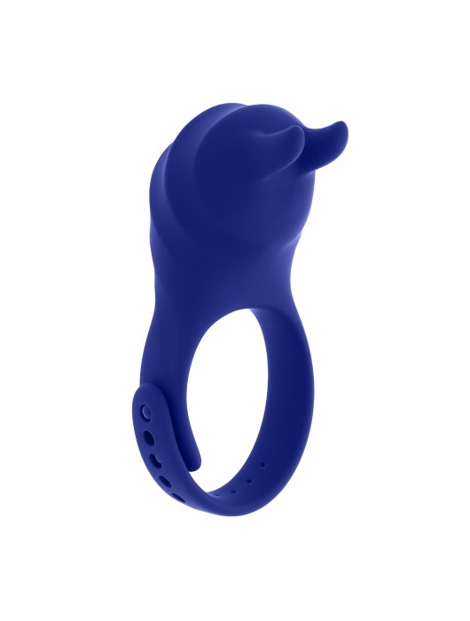 Синее эрекционное виброкольцо с клиторальной подушечкой и пультом ДУ Adjustable Fun Ring - Zero Tolerance - в Невинномысске купить с доставкой