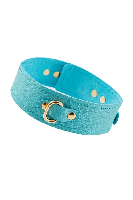 Голубой кожаный однослойный ошейник с прошивкой - Pecado - купить с доставкой в Невинномысске
