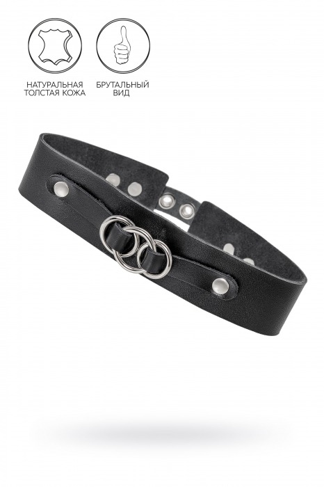 Черный чокер-ошейник со связанными кольцами на подложке - Pecado - купить с доставкой в Невинномысске