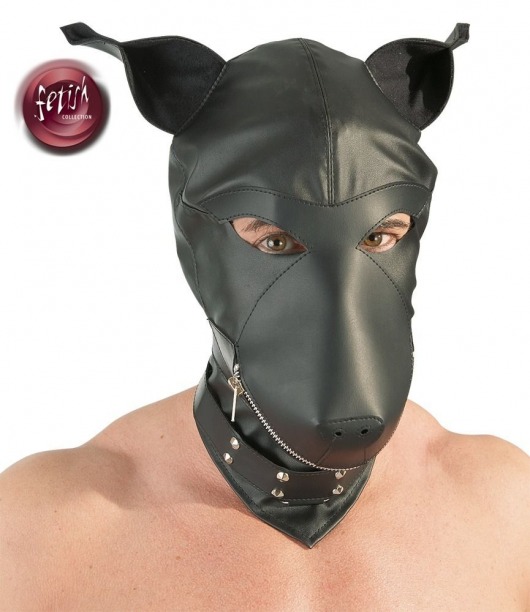 Шлем-маска Dog Mask в виде морды собаки - Orion - купить с доставкой в Невинномысске