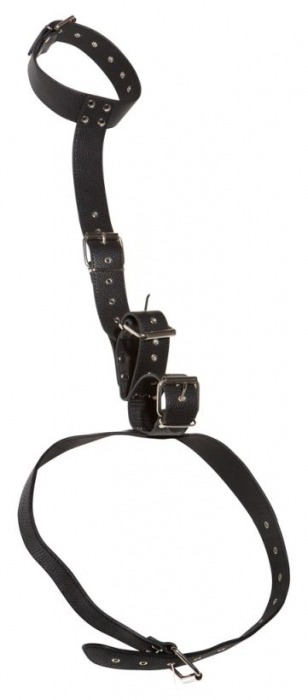 Фиксация на шею и запястья Bad Kitty Neck and Hand Restraints - Orion - купить с доставкой в Невинномысске