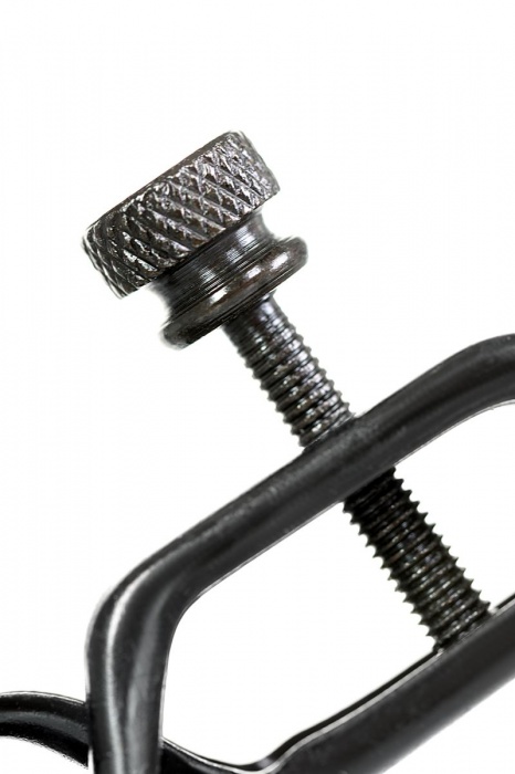 Черно-золотистые зажимы для сосков TOYFA Theatre - ToyFa - купить с доставкой в Невинномысске